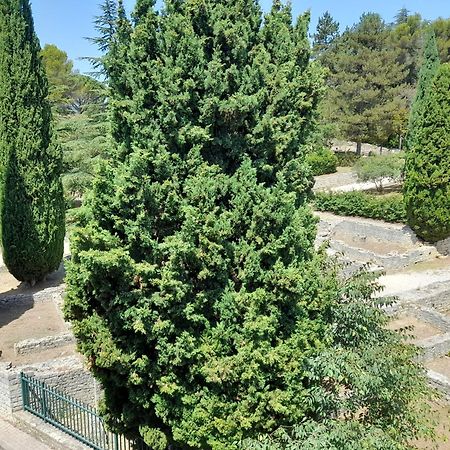 Grande Terrasse Et Vue Sur Le Site Antique Appartement Vaison-la-Romaine Buitenkant foto