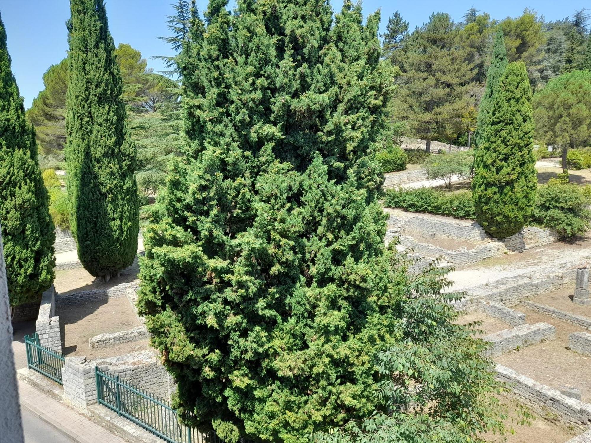 Grande Terrasse Et Vue Sur Le Site Antique Appartement Vaison-la-Romaine Buitenkant foto
